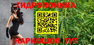 МДПВ Можайск