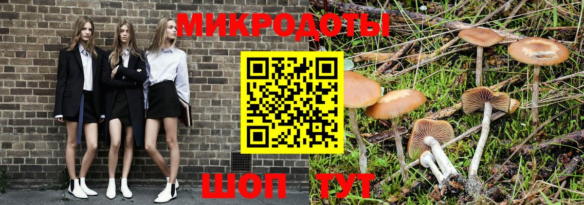 Химки  Псилоцибиновые грибы MAGIC MUSHROOMS  Вход с VPN 